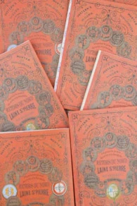 Album Points De Broderie Sajou Rouge N°916 4 Album Points De Broderie Sajou Rouge N°916 – Image 4