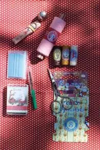 Boîte à Couture Complète Chien Et Chat Pelotant 6 Boîte à Couture Complète Chien Et Chat Pelotant – Image 6