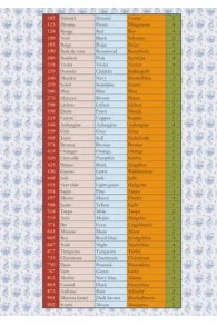 Fil Maroquinerie Grand Cône 28/2 - 298 - Lichen 4 Fil Maroquinerie Grand Cône 28/2 - 298 - Lichen – Image 4