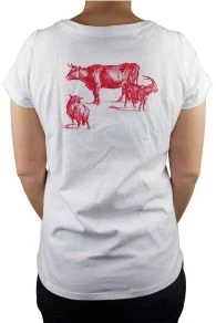 T-shirt Sajou Recto Verso Taille M 3 T-shirt Sajou Recto Verso Taille M – Image 3