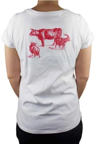 T-shirt Sajou Recto Verso Taille S 3 T-shirt Sajou Recto Verso Taille S – Image 3